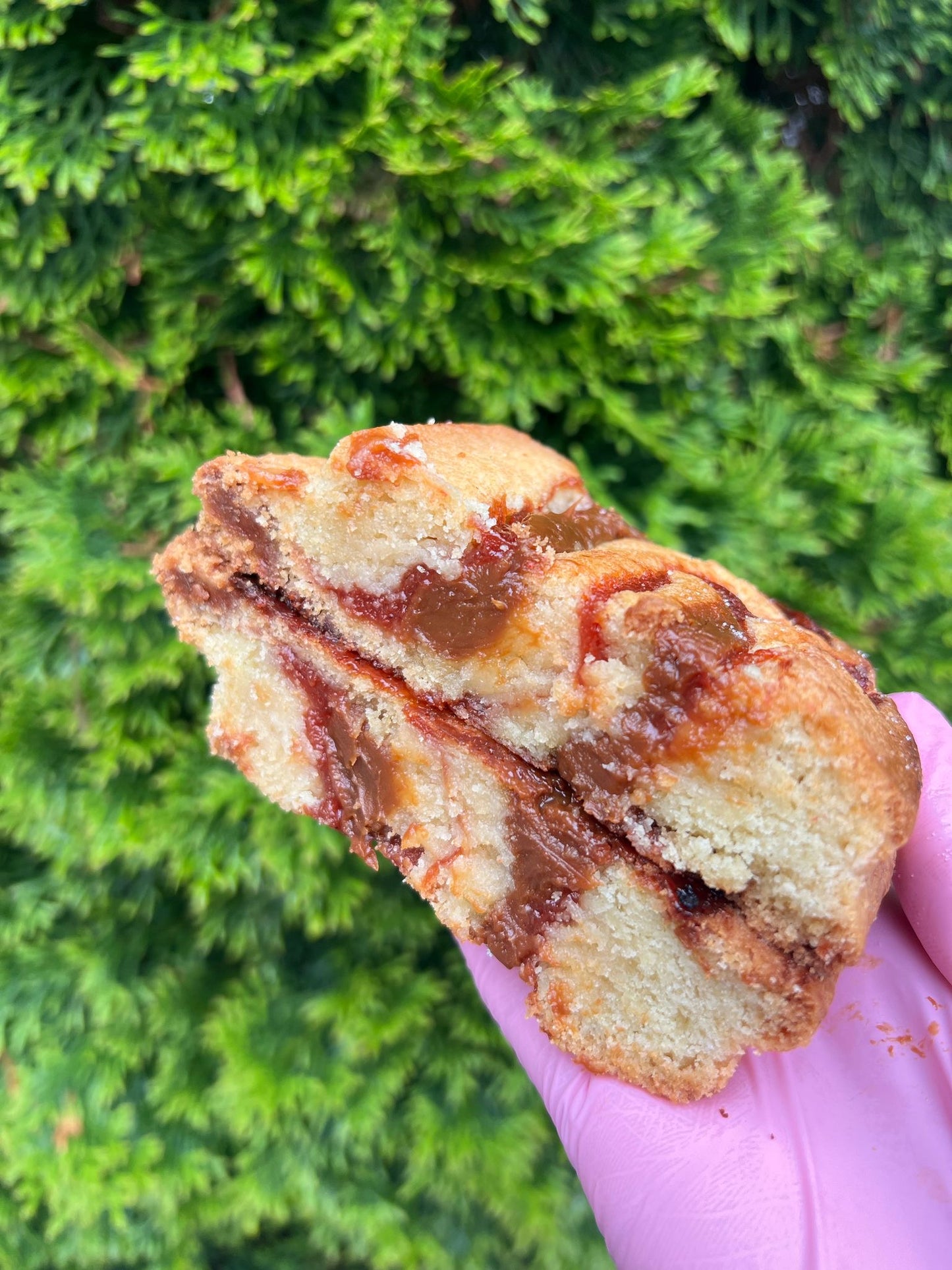 Guava dulce de leche